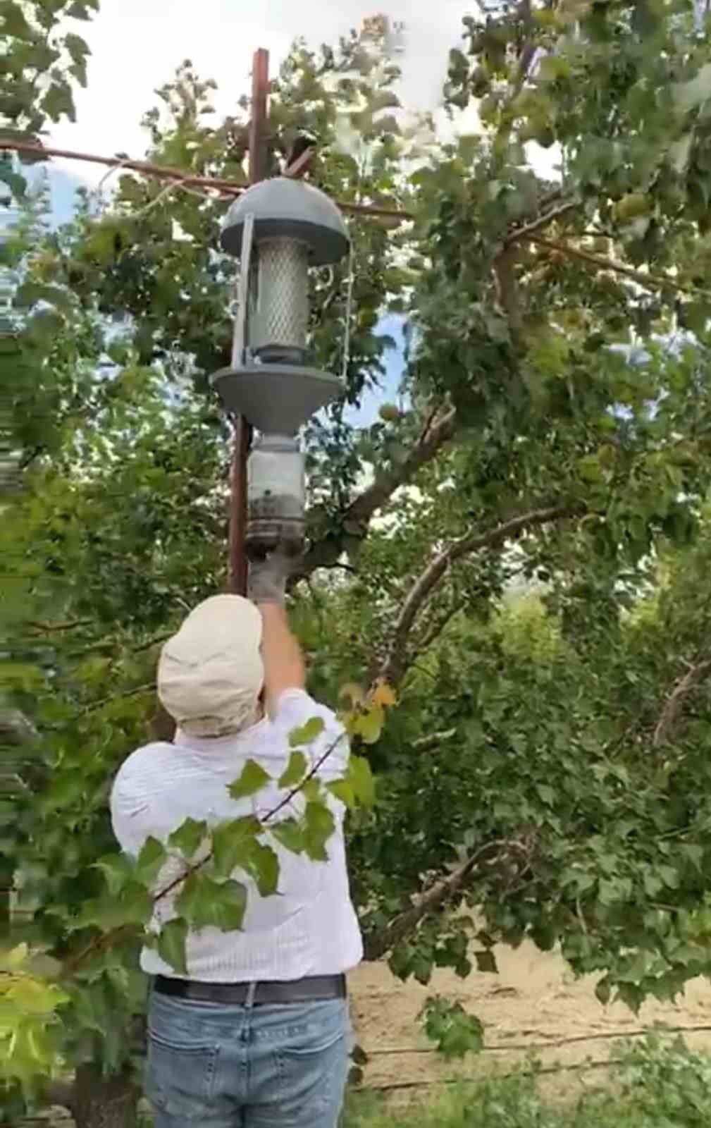 domates guvesi mantar sinegi ve elma ic kurduna isik tuzagi 4 e7iM4tre