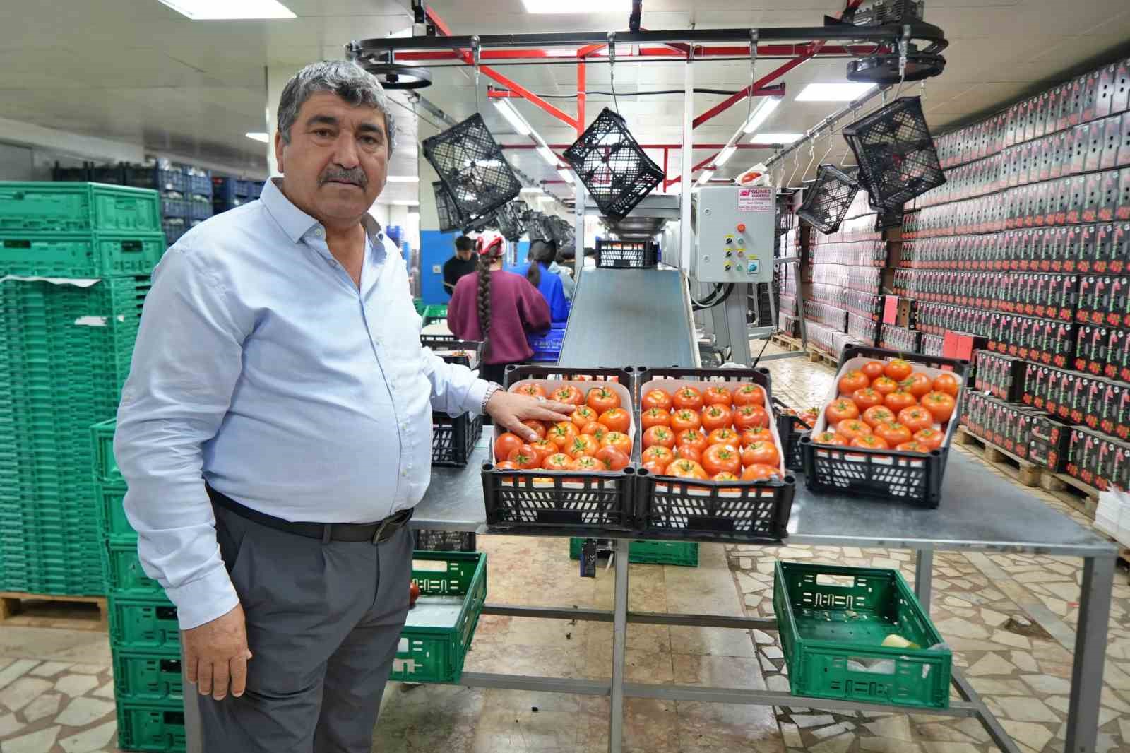 domateste uretim planlamasi fiyat dengesinin anahtari 0 ENcg9pW4