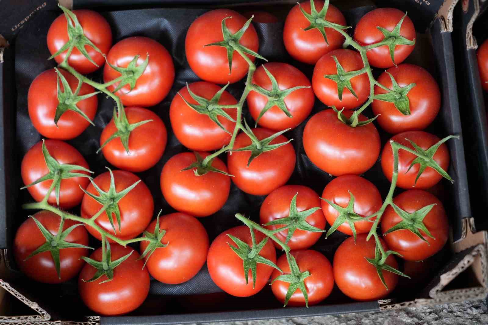 domateste uretim planlamasi fiyat dengesinin anahtari 5 8p1MM1dk