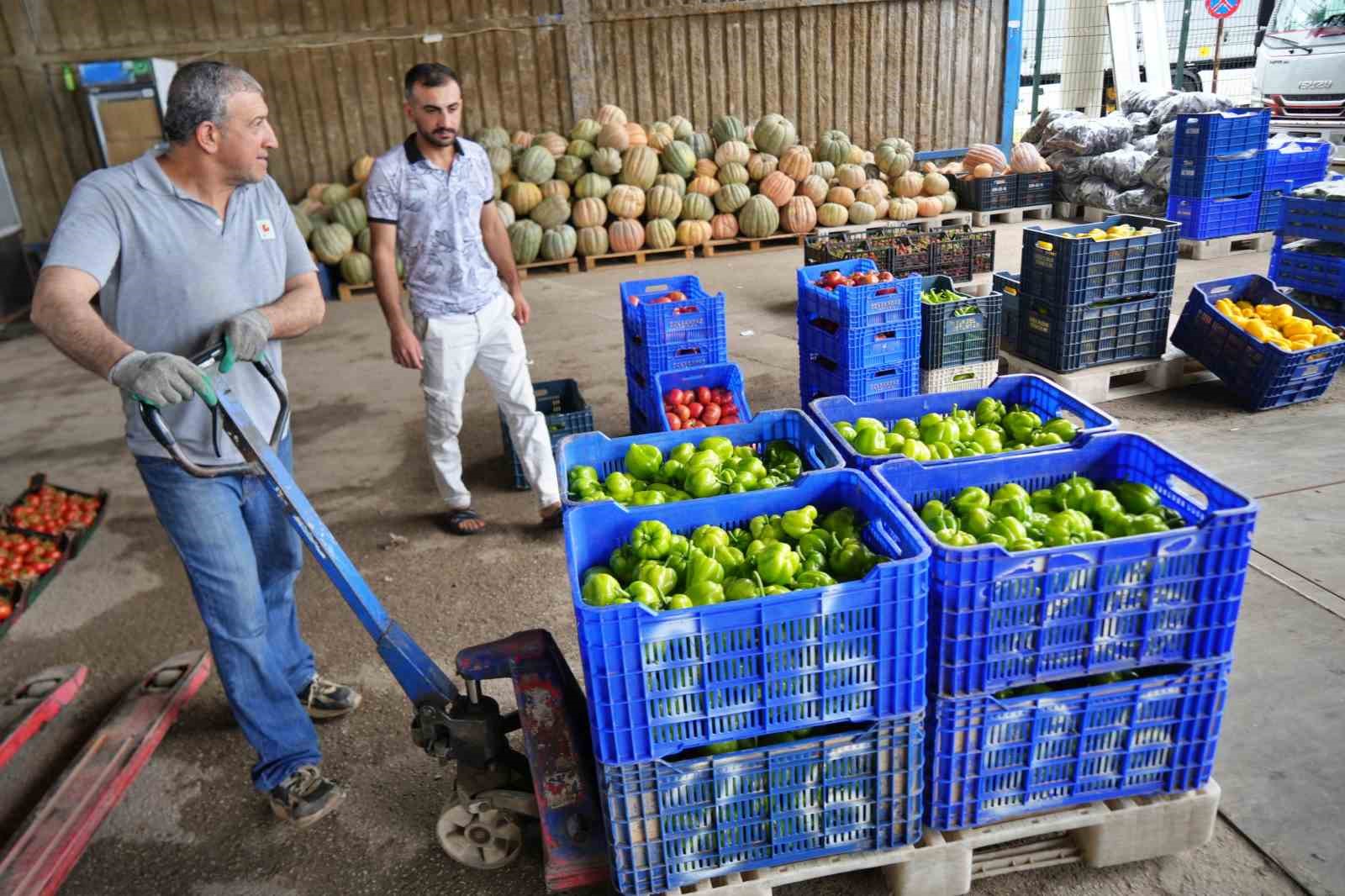 domateste uretim planlamasi fiyat dengesinin anahtari 6 mifrSXP7