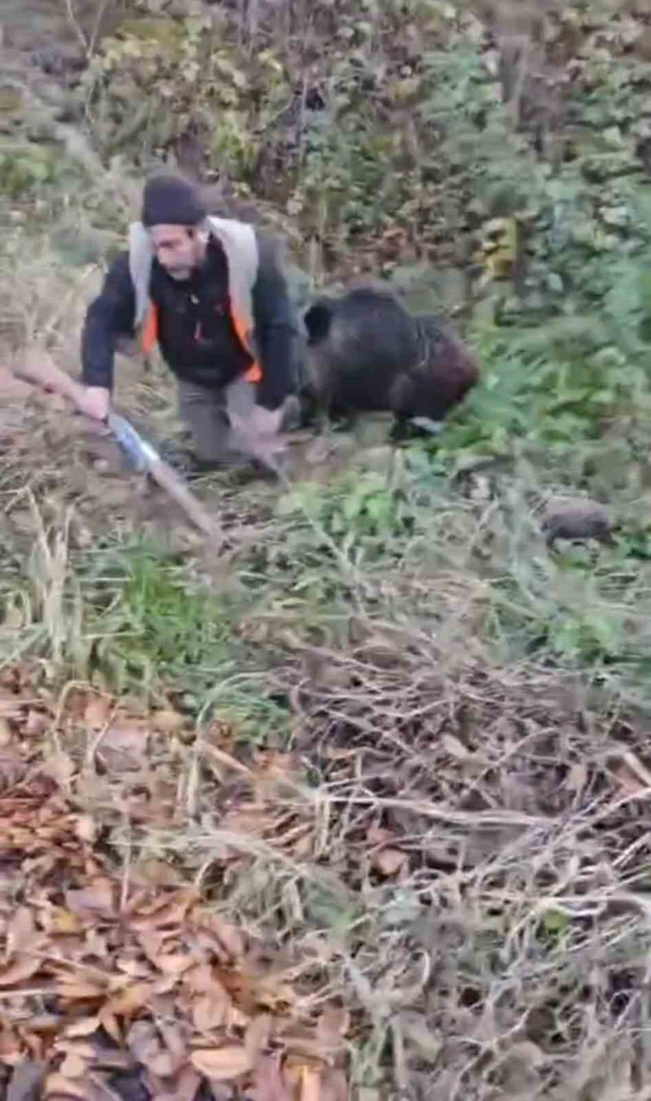 domuzun saldirisindan avci arkadaslari kurtardi 0