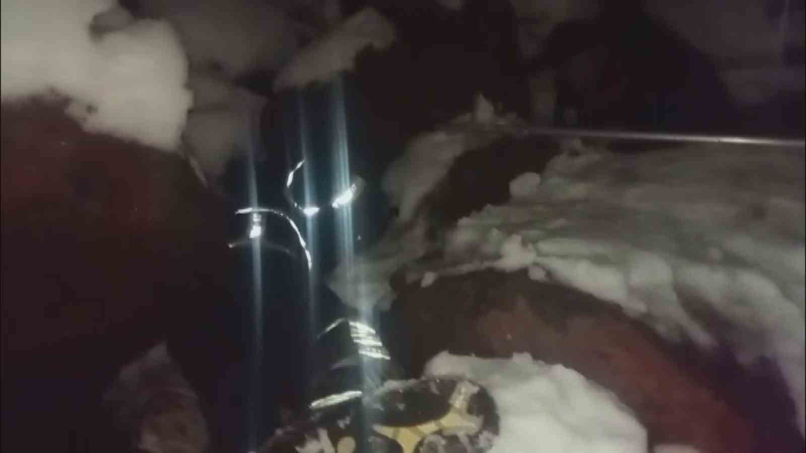 Dondurucu soğukta ölümü bekleyen yavru köpekleri itfaiye kurtardı 4 dondurucu sogukta olumu bekleyen yavru kopekleri itfaiye kurtardi 0