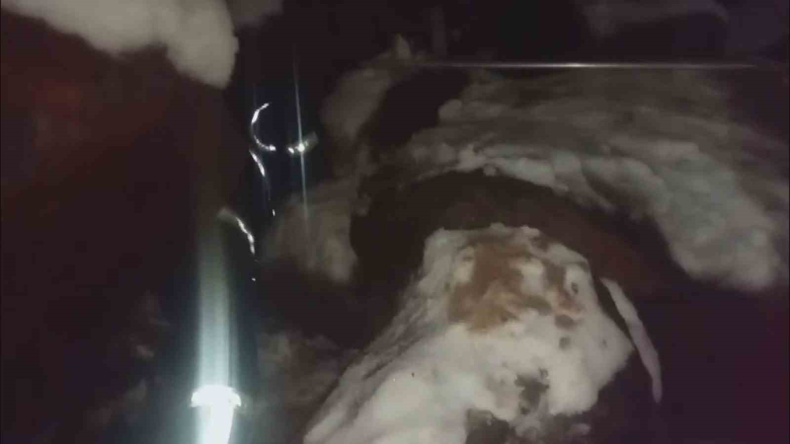 Dondurucu soğukta ölümü bekleyen yavru köpekleri itfaiye kurtardı 5 dondurucu sogukta olumu bekleyen yavru kopekleri itfaiye kurtardi 1 eOOG9Y78