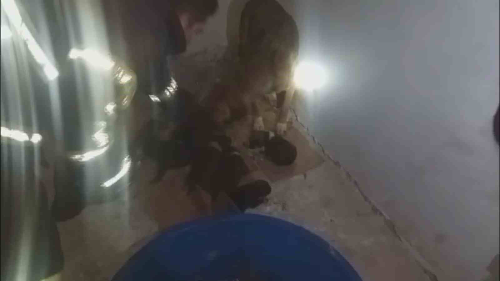 Dondurucu soğukta ölümü bekleyen yavru köpekleri itfaiye kurtardı 7 dondurucu sogukta olumu bekleyen yavru kopekleri itfaiye kurtardi 3 FiWalKKC