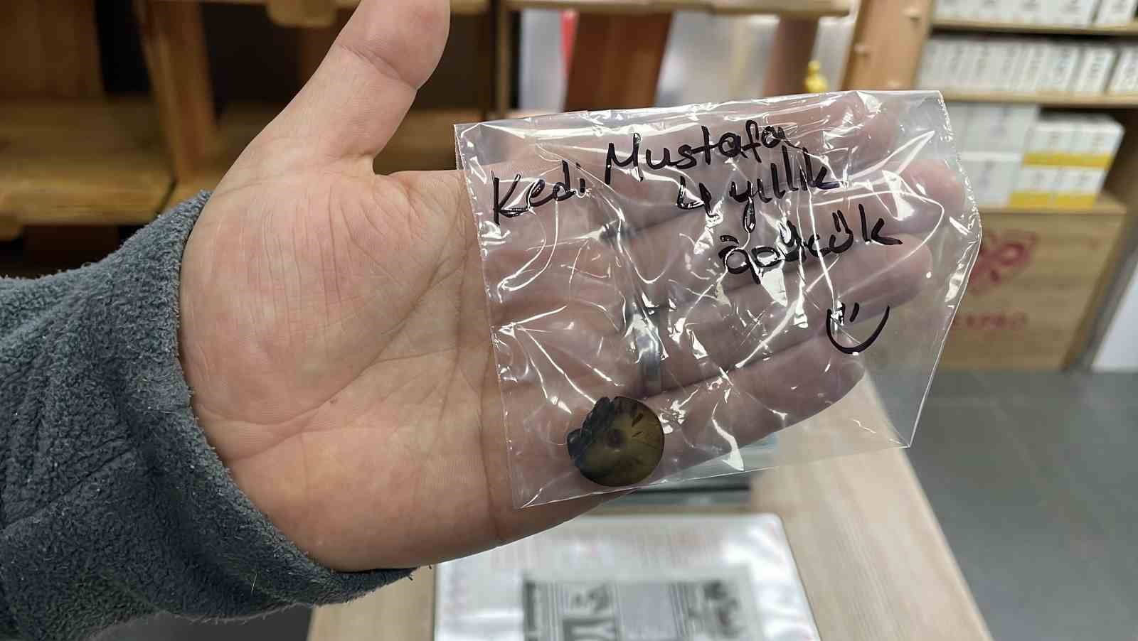 dort yildir kusan kedinin midesinden buzdolabi vakumu cikti 2 9pNPtfcl