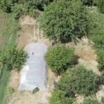 dron-destekli-operasyonda-seraya-gizlenen-hint-kenevirleri-ele-gecirildi-Ag7kI9Pd.jpg