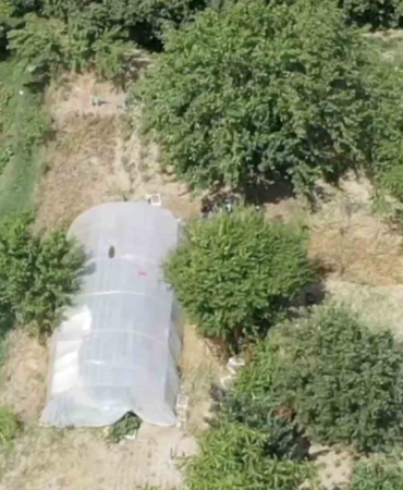 dron-destekli-operasyonda-seraya-gizlenen-hint-kenevirleri-ele-gecirildi-Ag7kI9Pd.jpg