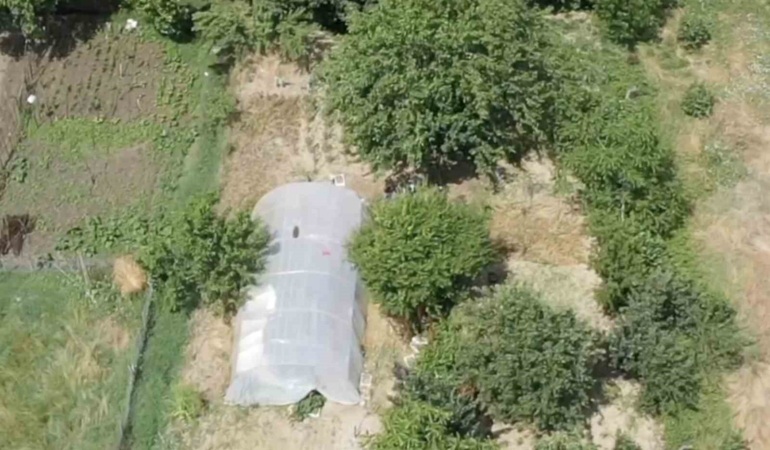 dron-destekli-operasyonda-seraya-gizlenen-hint-kenevirleri-ele-gecirildi-Ag7kI9Pd.jpg