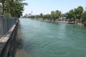 Manavgat’ta caretta caretta yavrularına koruma nöbeti 1 thumbnail