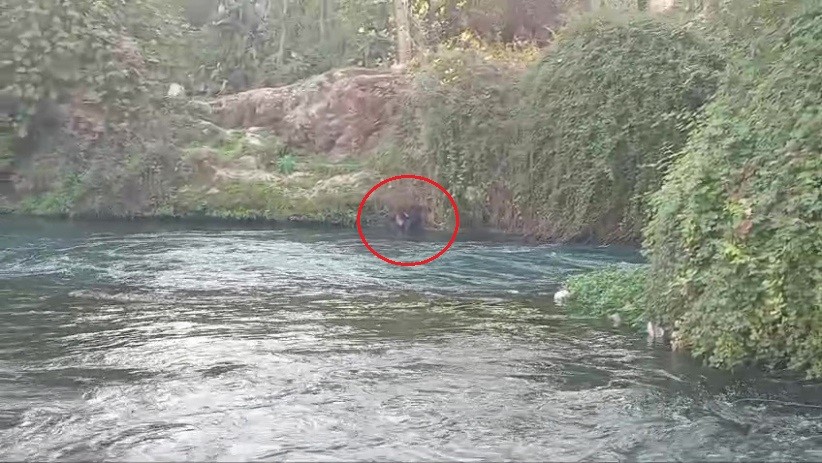 duden cayina dusen sahsi itfaiye ekipleri kurtardi 1 qsEISiJw