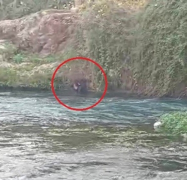 duden-cayina-dusen-sahsi-itfaiye-ekipleri-kurtardi-xK1FTcKz.jpg