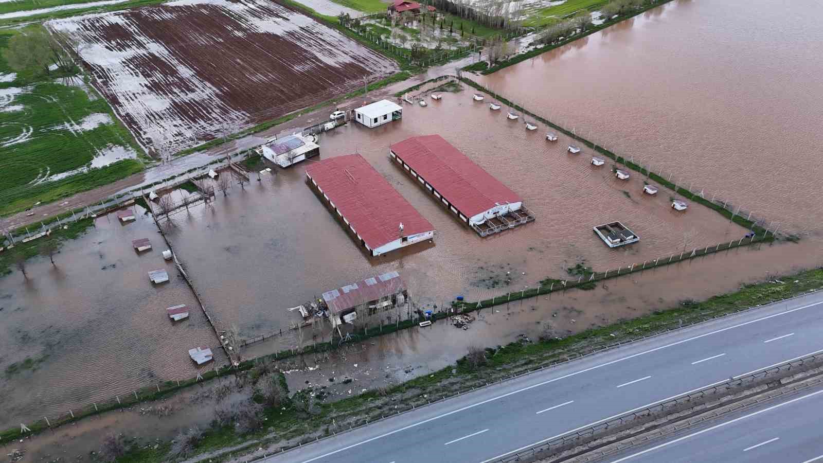 dunyaca unlu anadolu aslanlarinin yuvalari sular altinda kaldi 3 emJpGCvr