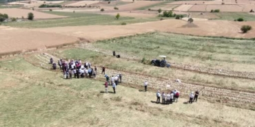 dunyaca-unlu-taskopru-sarimsaginin-hasadi-basladi-n75ZfmXL.jpg