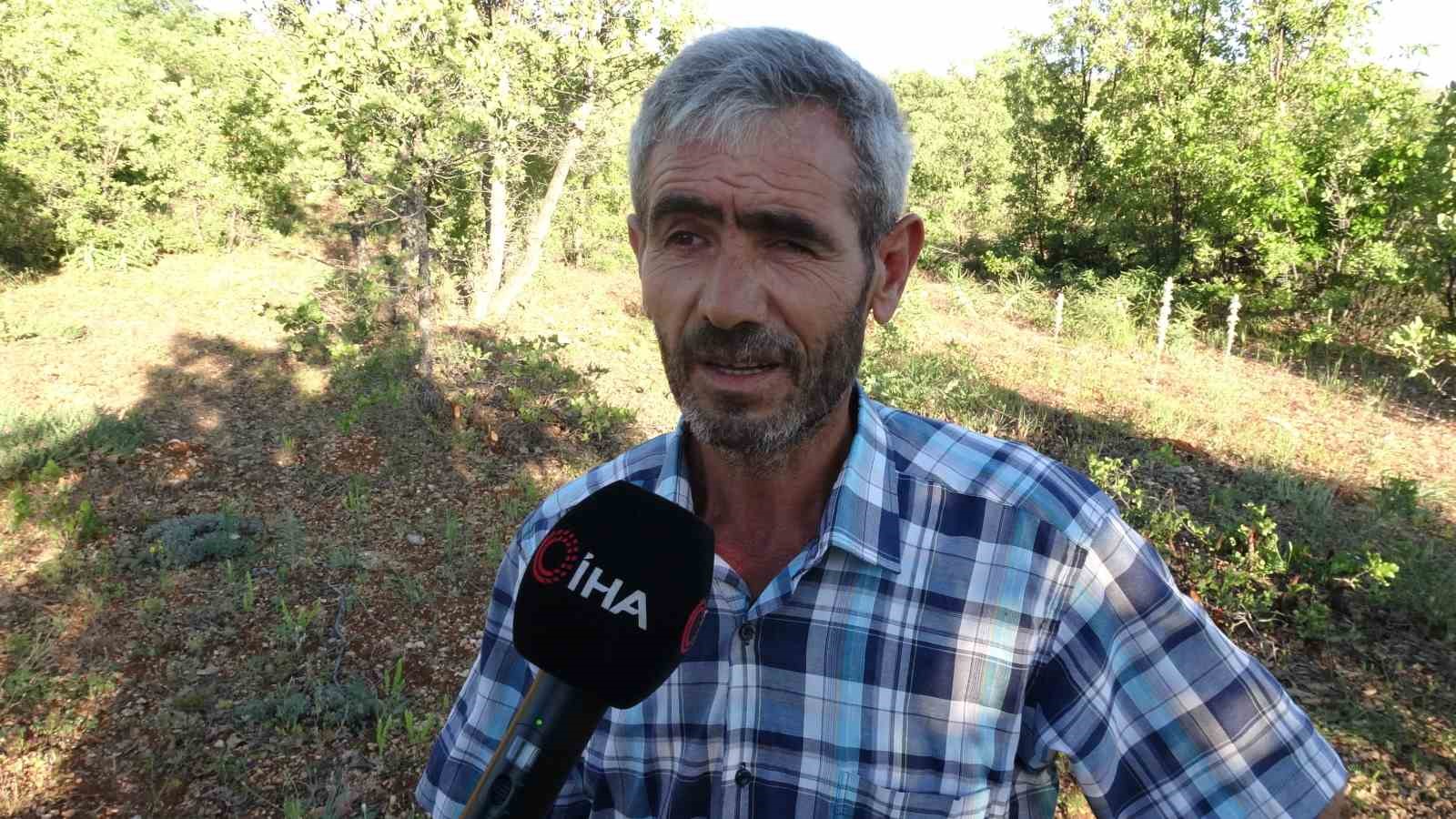 dunyanin en korkusuz hayvani bal porsugunu tek darbeyle bayiltti 3 qeMNqZ7I