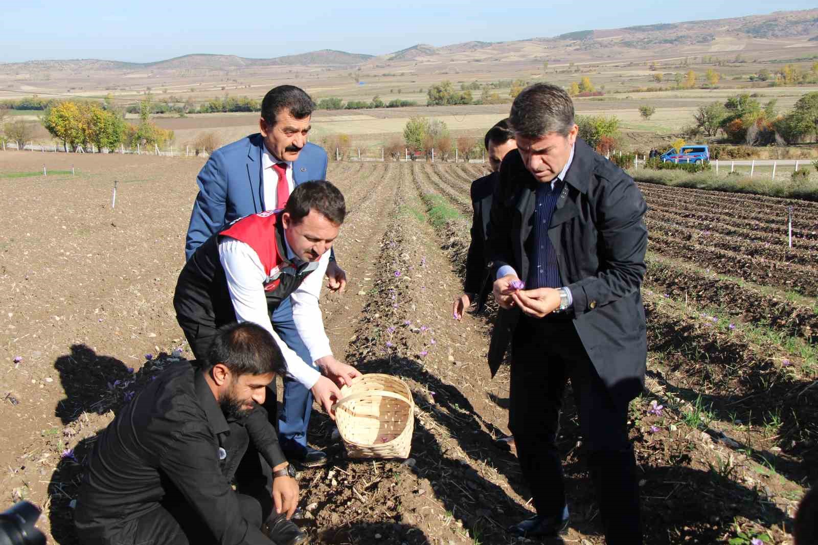 dunyanin en pahali baharati safranin 1 grami 500 tl 6 p2eYAXPB