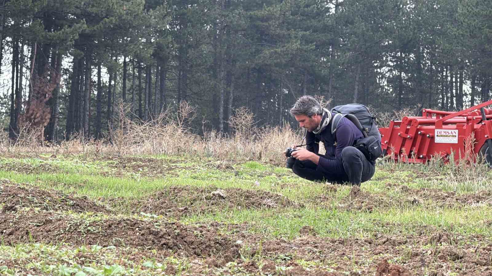 dunyanin en pahali baharati safranin kilogrami 600 bin liradan satilacak 5 AkAql1zk