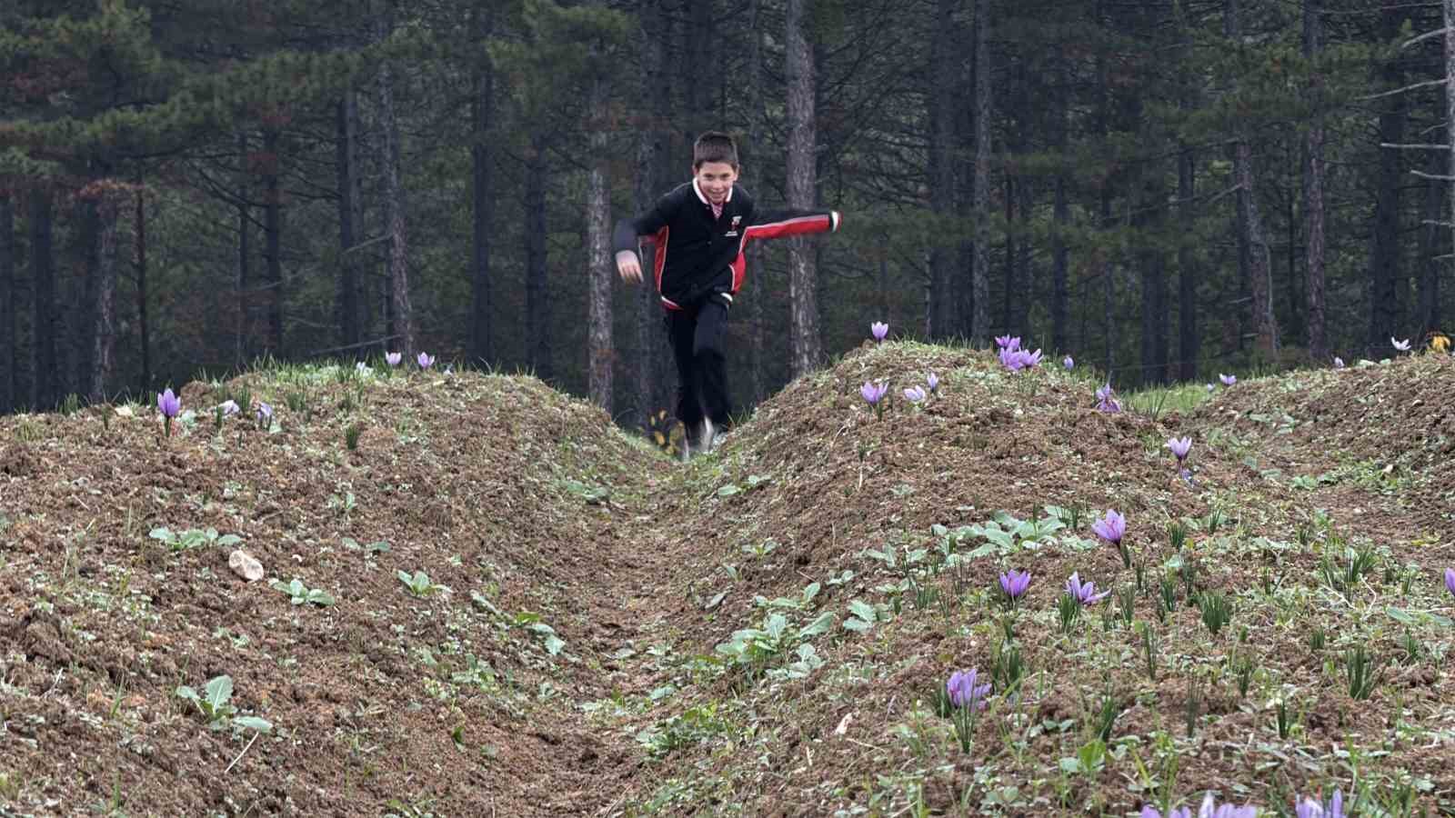 dunyanin en pahali baharati safranin kilogrami 600 bin liradan satilacak 7 sfrZV2JM