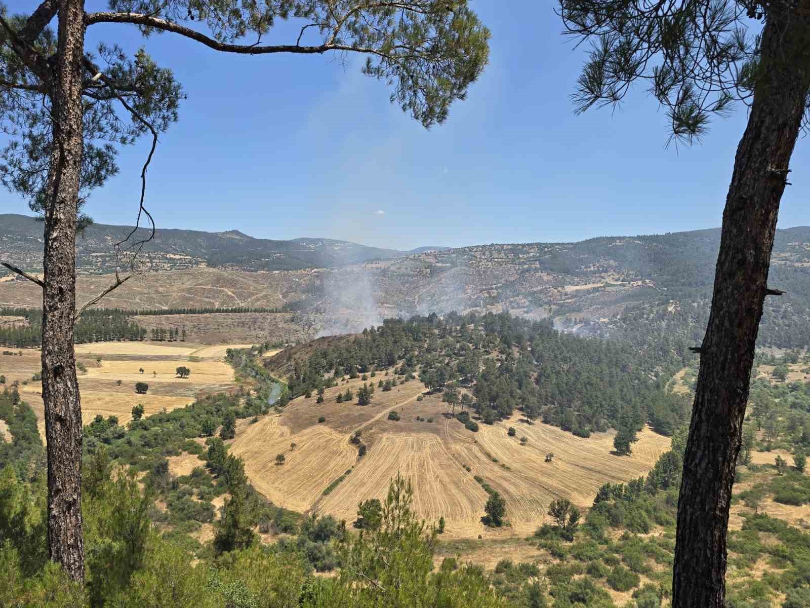 Dursunbey’de orman yangını 7 dursunbeyde orman yangini 3 Cgvpsyfa
