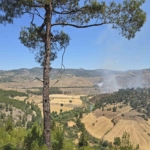 dursunbeyde-orman-yangini-4wS89aNB.jpg