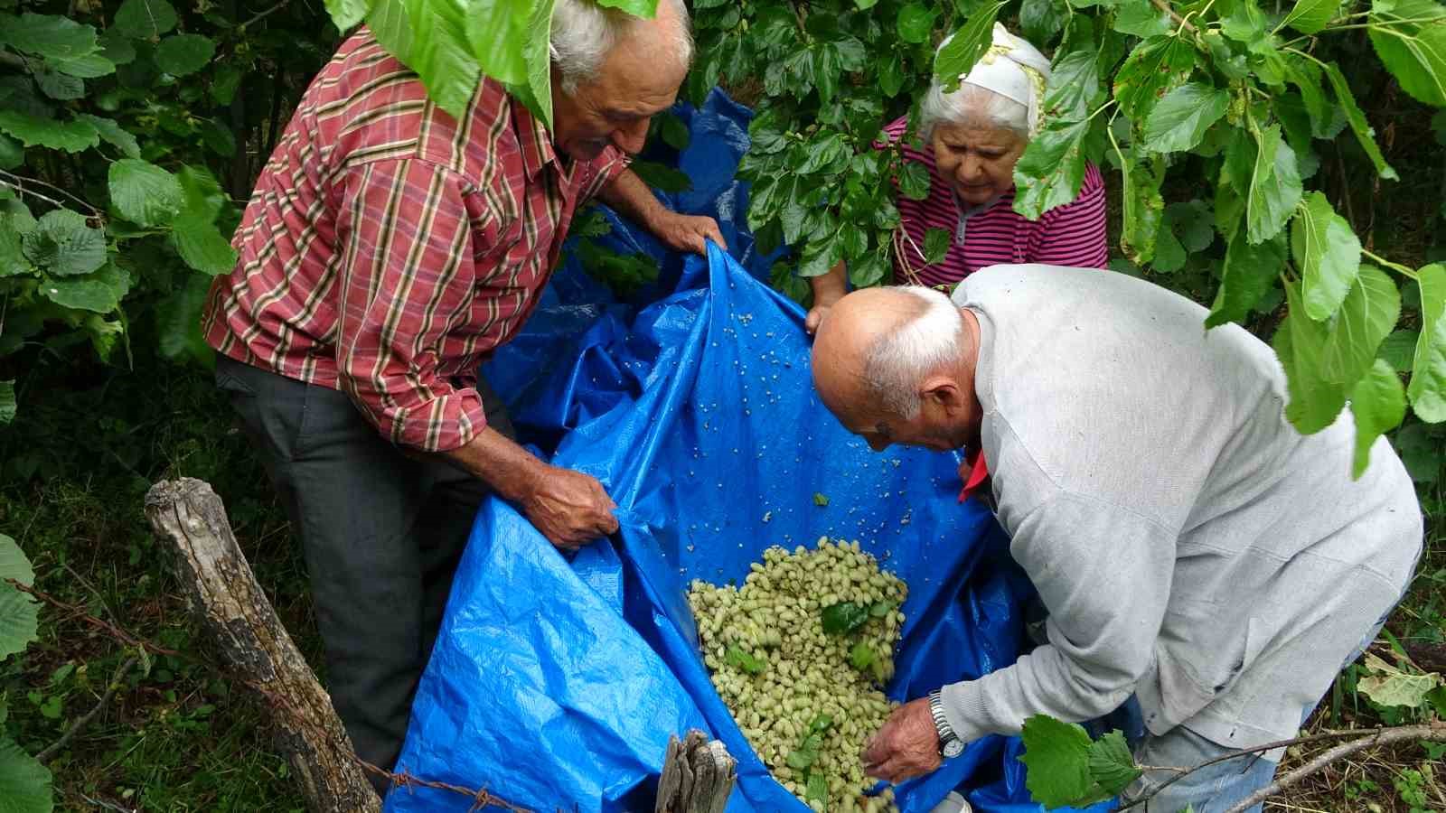 Dutların pekmeze dönüşen zahmetli yolculuğu 10 dutlarin pekmeze donusen zahmetli yolculugu 6 9YdlGwHd
