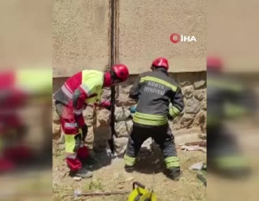 duvar-arasinda-mahsur-kalan-kediye-itfaiyeden-9-saatlik-kurtarma-operasyonu-r5TMRclp.jpg