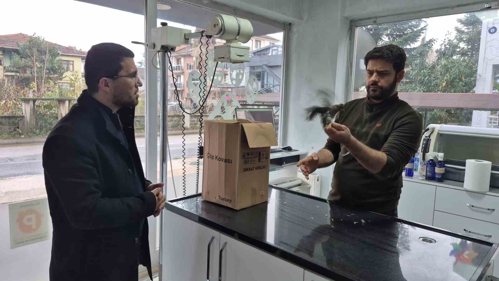 duyarli vatandastan ornek davranis yolda buldugu kumruya su verip veterinere teslim etti 1 VQSll1Fn