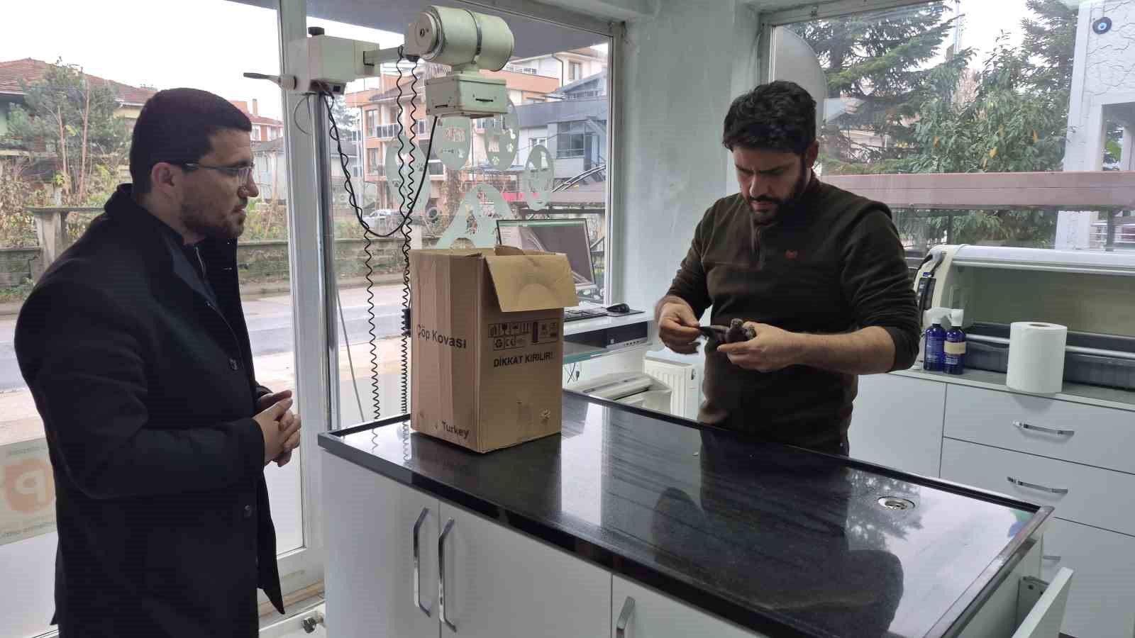 duyarli vatandastan ornek davranis yolda buldugu kumruya su verip veterinere teslim etti 3 V4NHNGY7