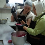 duzce-msmde-tadim-gunu-KEIfKi7H.jpg
