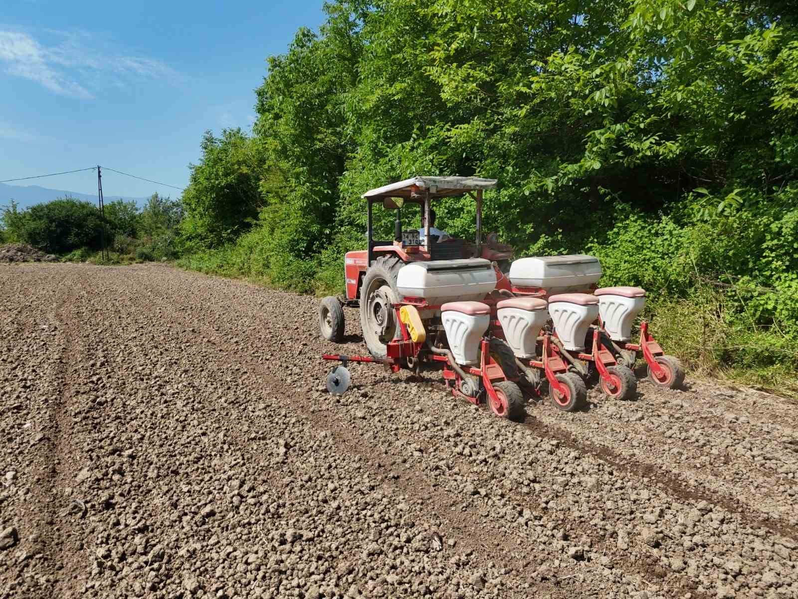 Düzce’de Ata tohumu üretimi büyüyor 6 duzcede ata tohumu uretimi buyuyor 2 D27zX1gz