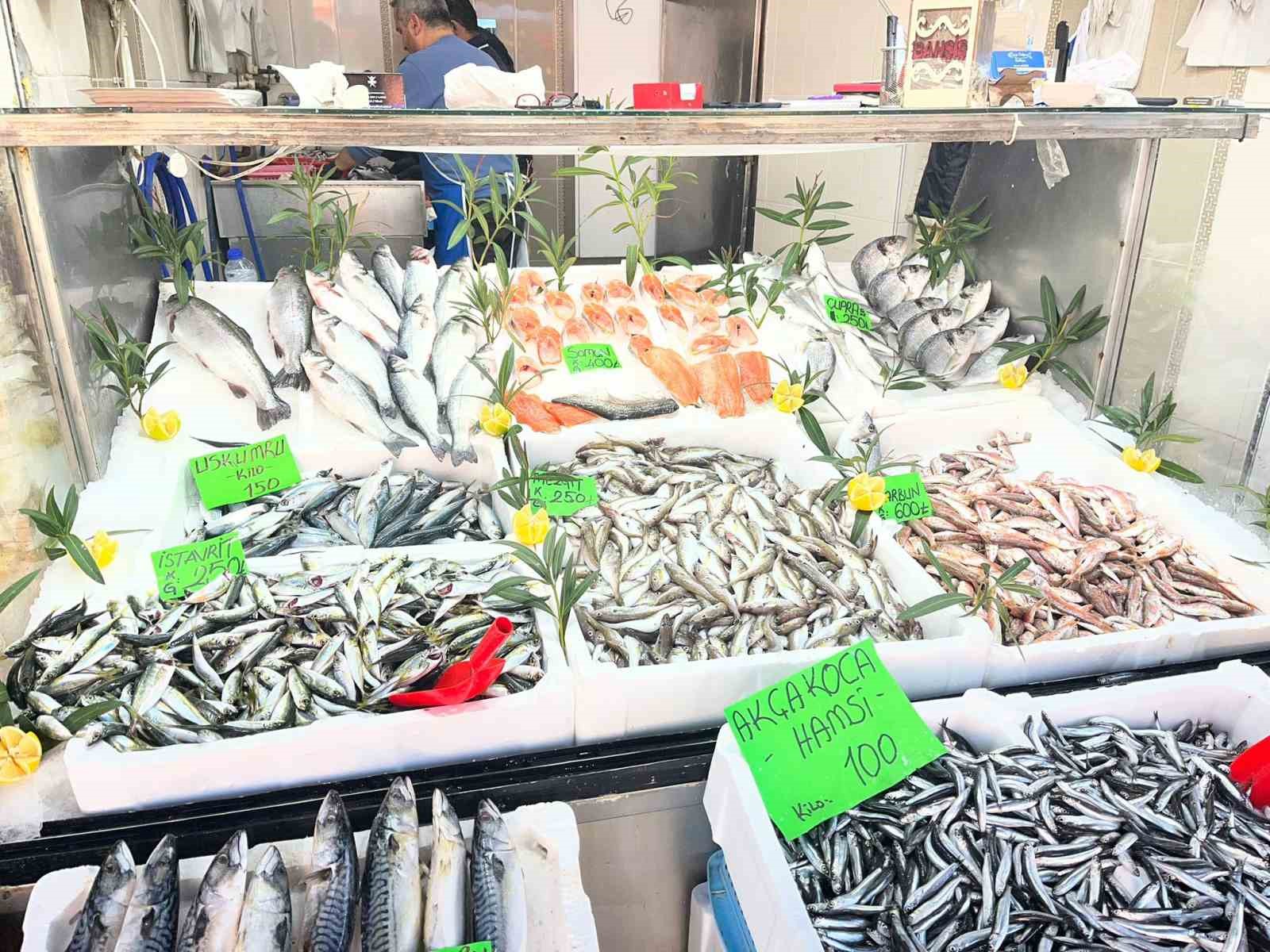 duzcede balik fiyatlari duserken vatandaslar baliga yoneliyor 1 UA31TKYE