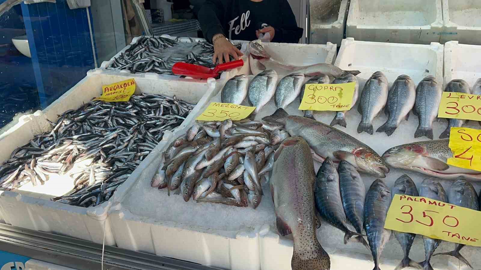 duzcede balik fiyatlari duserken vatandaslar baliga yoneliyor 2 GqmLpX8U