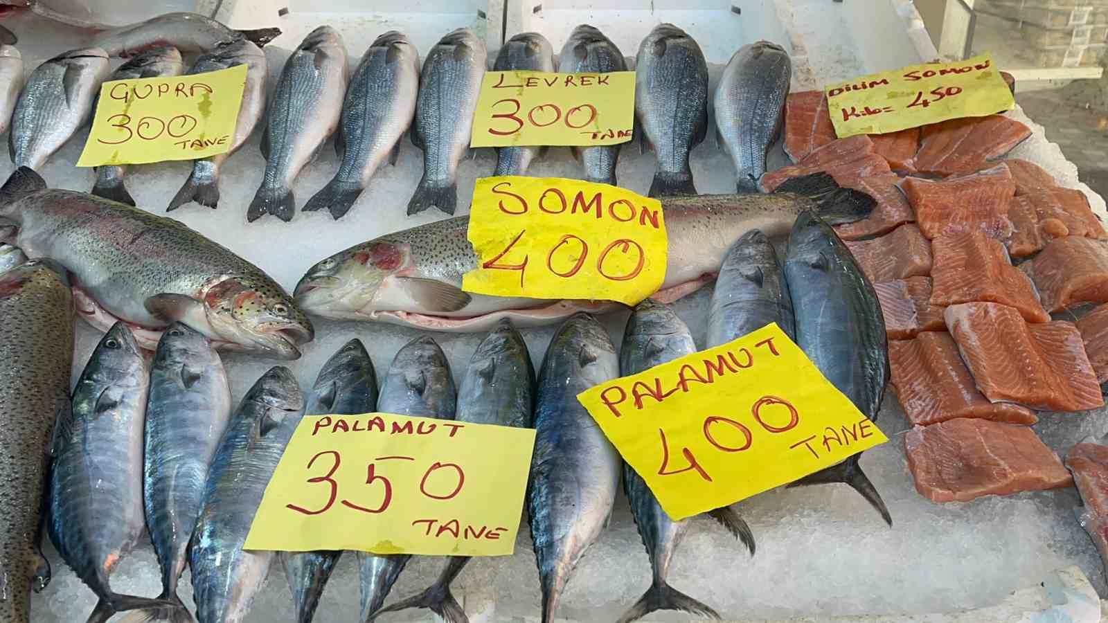 duzcede balik fiyatlari duserken vatandaslar baliga yoneliyor 3 5ZbYft81