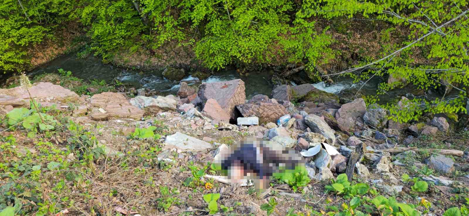 duzcede cinayet cozuldu supheli sucunu itiraf etti 1 3cehGTvb