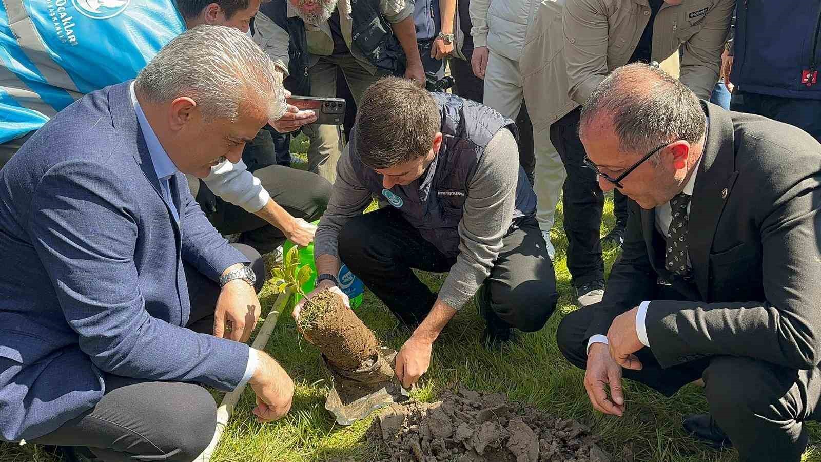 duzcede devlet bahceli hatira ormanina fidan dikildi 1 rvlvuWqb