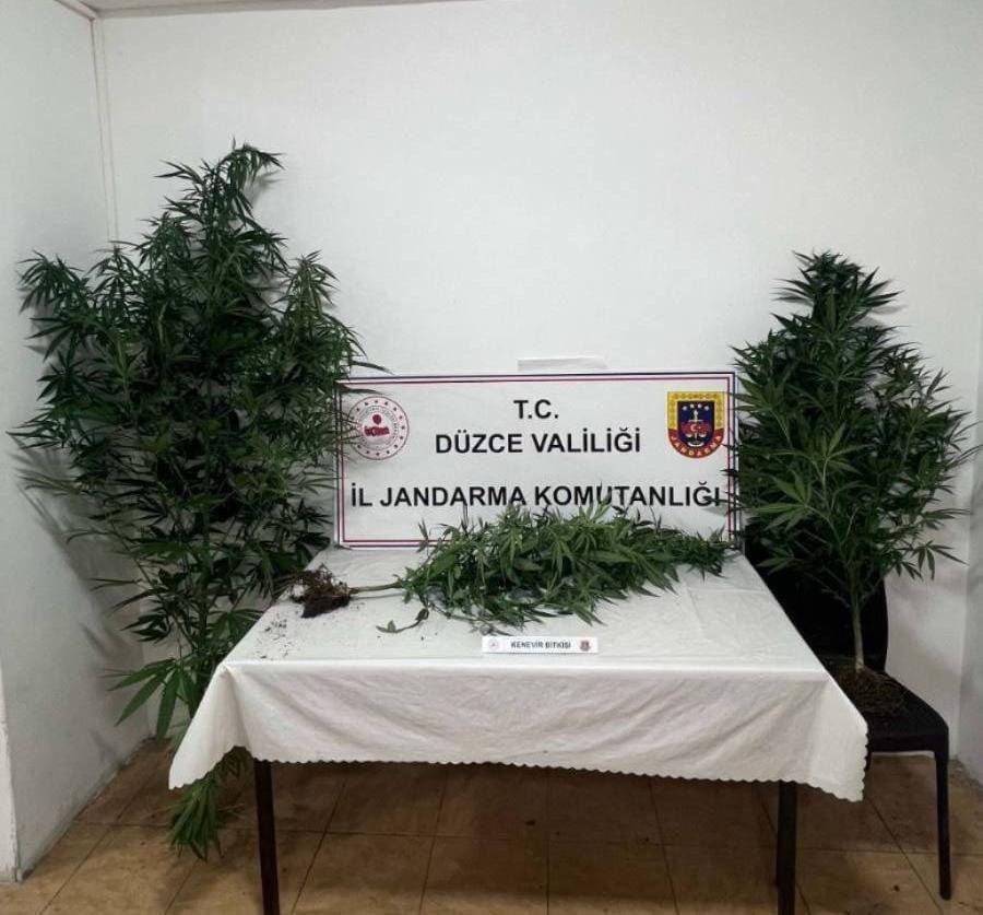 Düzce’de jandarmadan uyuşturucu operasyonu 4 duzcede jandarmadan uyusturucu operasyonu 0 YD1nCsNl