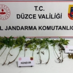 duzcede-jandarmadan-uyusturucu-operasyonu-8KzxBCcb.jpg