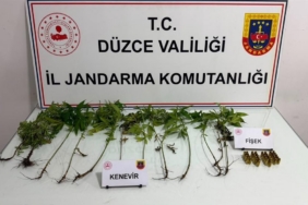 Annenin donarak, oğlunun düşerek öldüğü üzerinde duruluyor 1 thumbnail