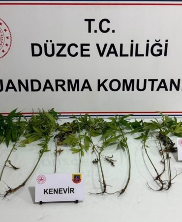 duzcede-jandarmadan-uyusturucu-operasyonu-8KzxBCcb.jpg