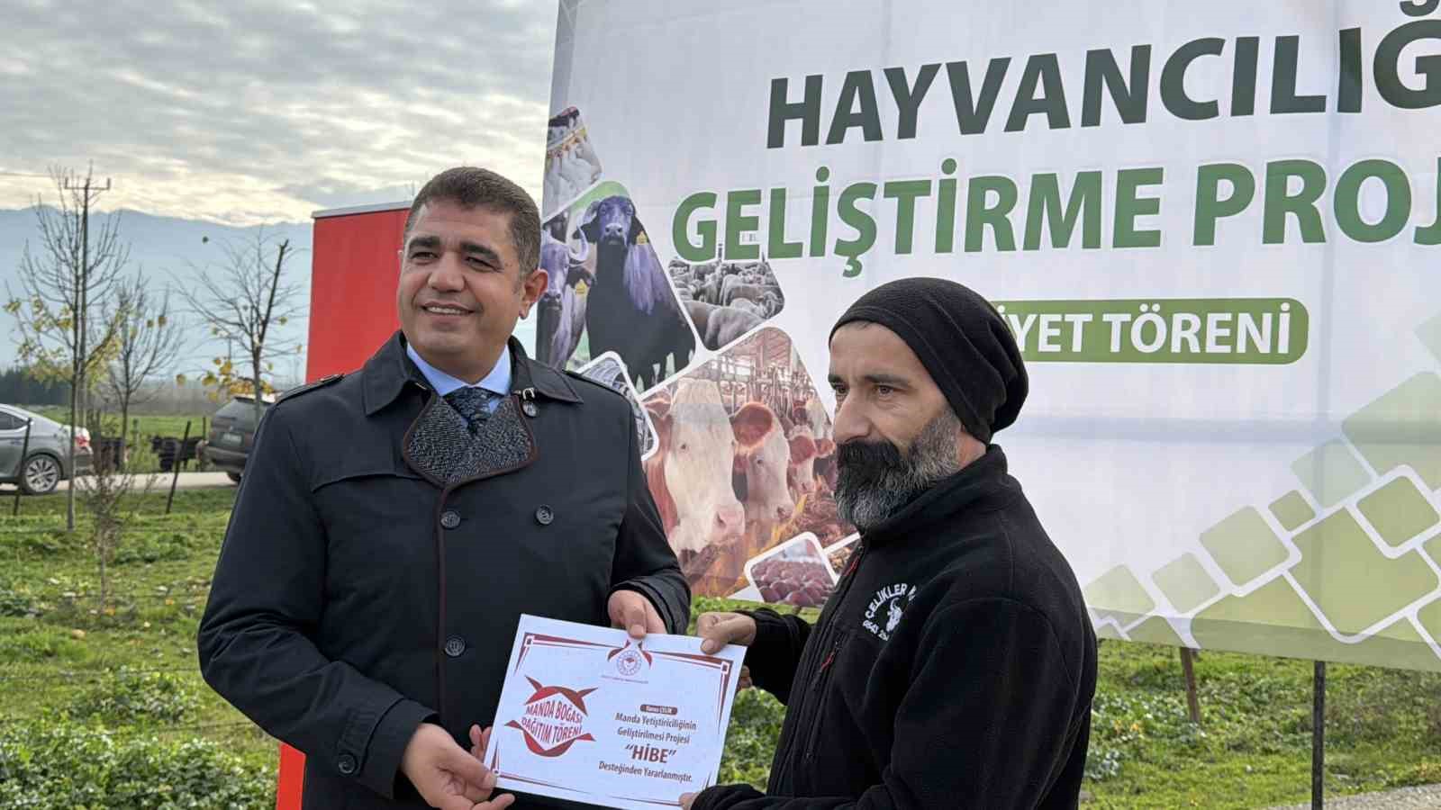 duzcede manda yetistiriciligine guclu destek 3 halSZGlX