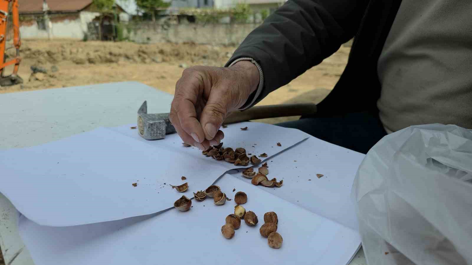 Düzce’de şantiye demliğinde "kabuk" var 5 duzcede santiye demliginde kabuk var 1 kcrVChvP