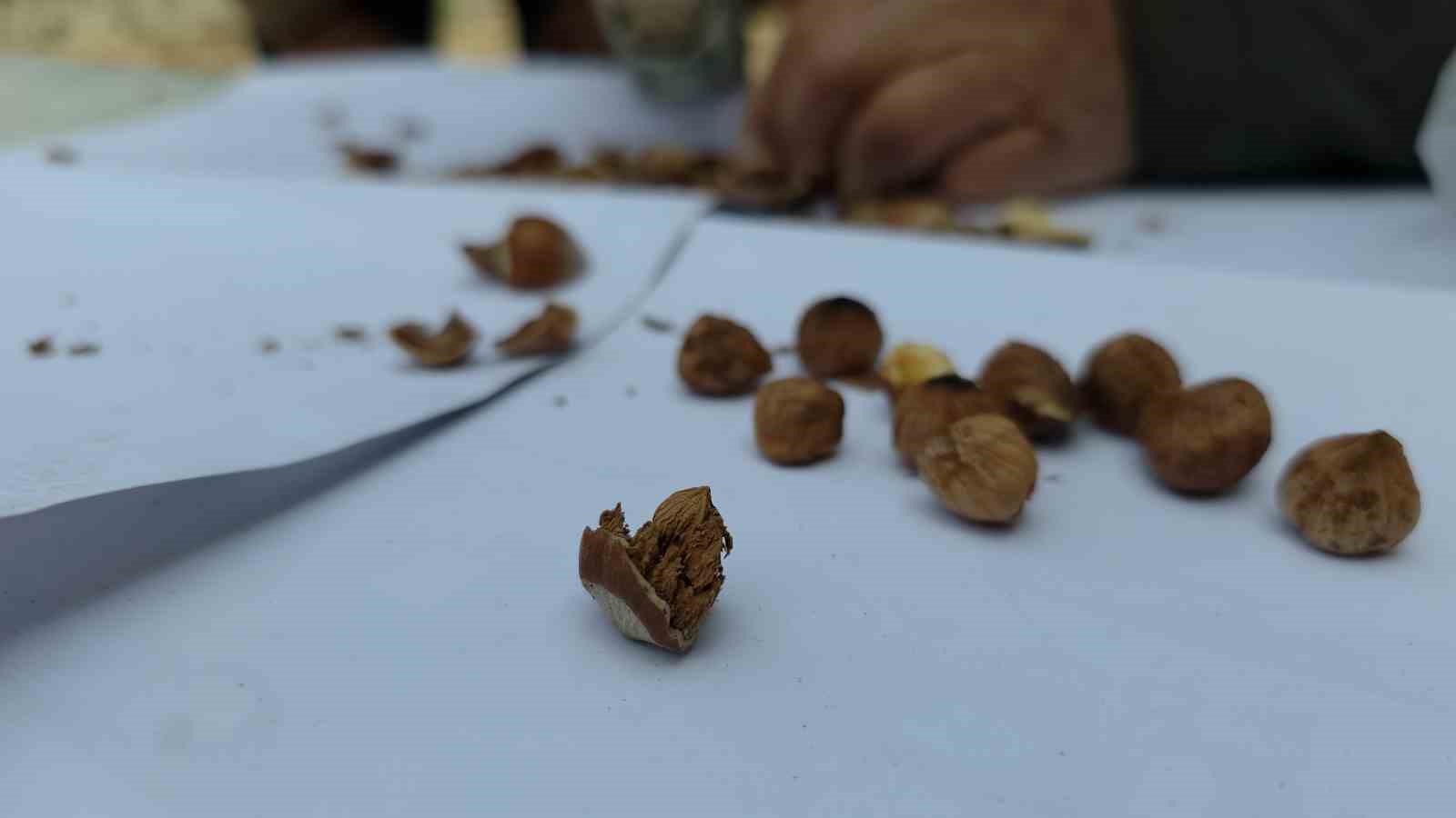 Düzce’de şantiye demliğinde "kabuk" var 6 duzcede santiye demliginde kabuk var 2 jdQDHs2u