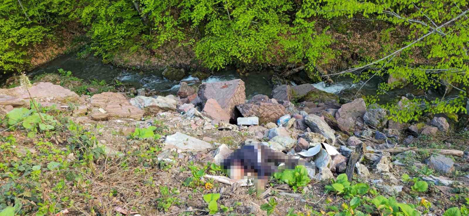 duzcede ucurum kenarinda erkek cesedi bulundu 1 Wjm3Nair
