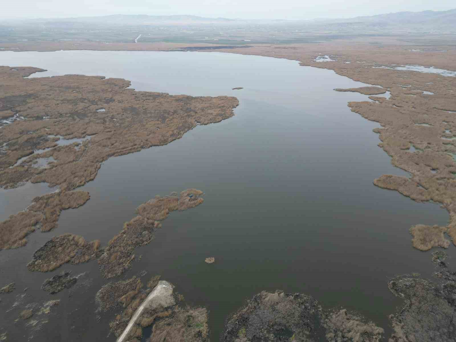 eber golunden sevindirici haber geldi 1 FJebVGAT