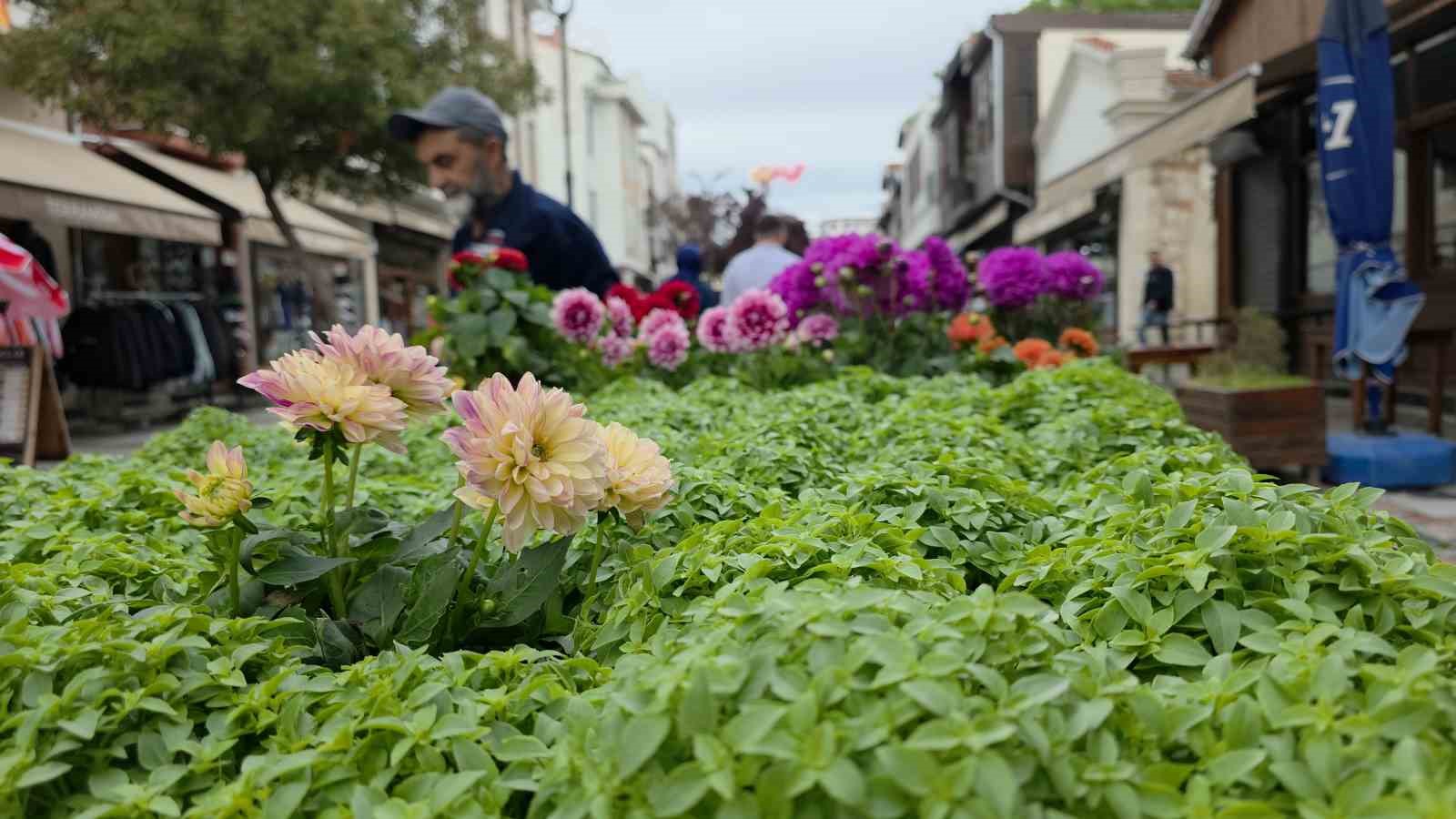 Edirne Saraçhane Caddesi’nde fesleğen kokusu 8 edirne sarachane caddesinde feslegen kokusu 4 cnYH8DLp