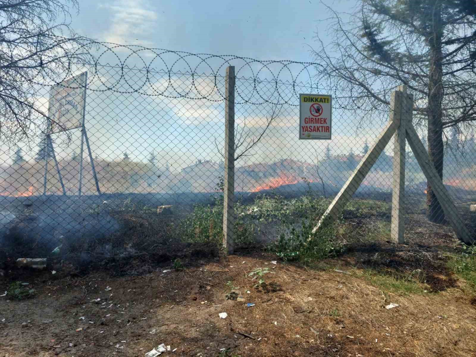 edirnede alevlerin arasinda kalan kaplumbaga kurtarildi 0 EBEiOQ36