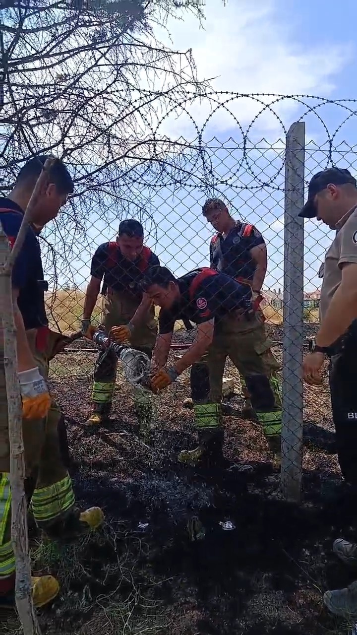 edirnede alevlerin arasinda kalan kaplumbaga kurtarildi 3 KDRIbSdO