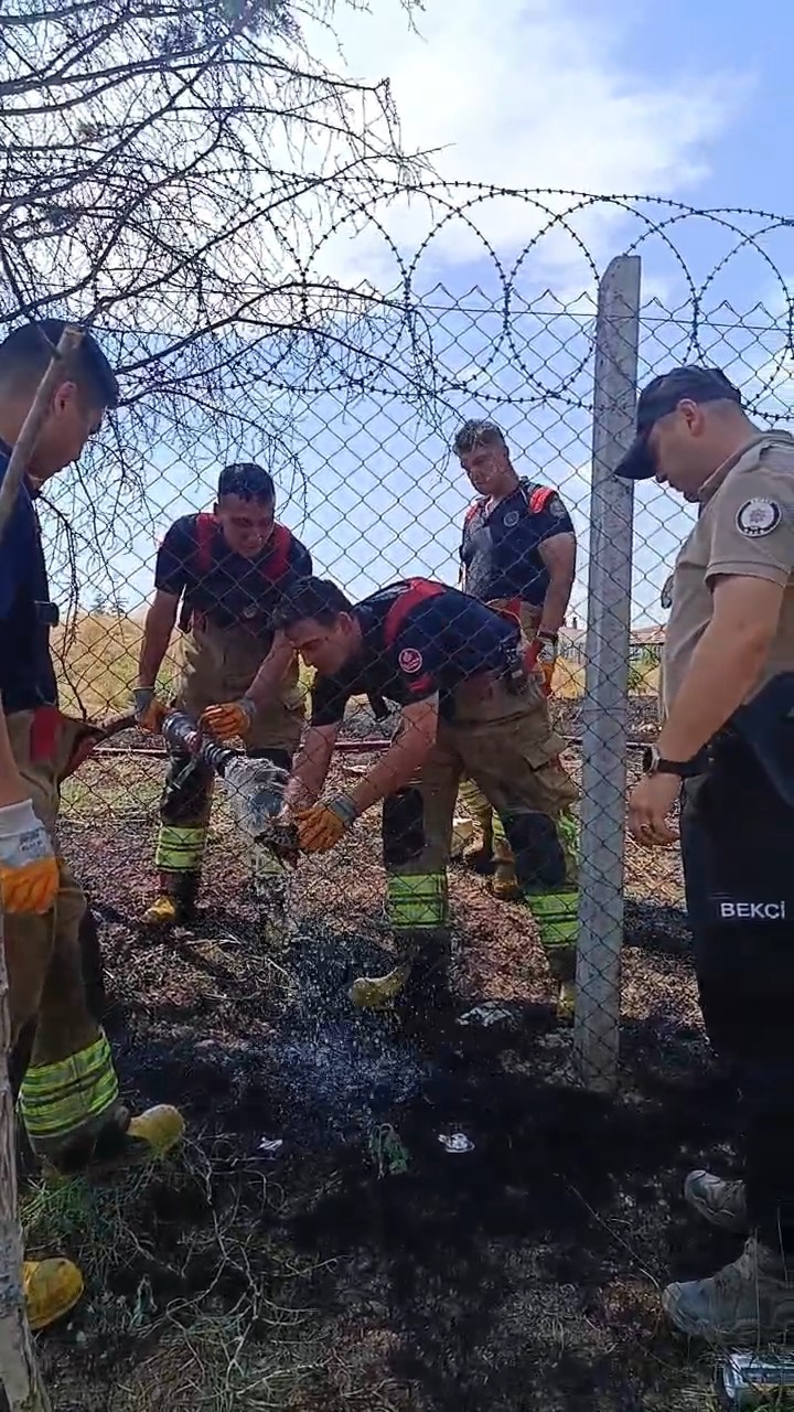 edirnede alevlerin arasinda kalan kaplumbaga kurtarildi 6 AiCylqyK