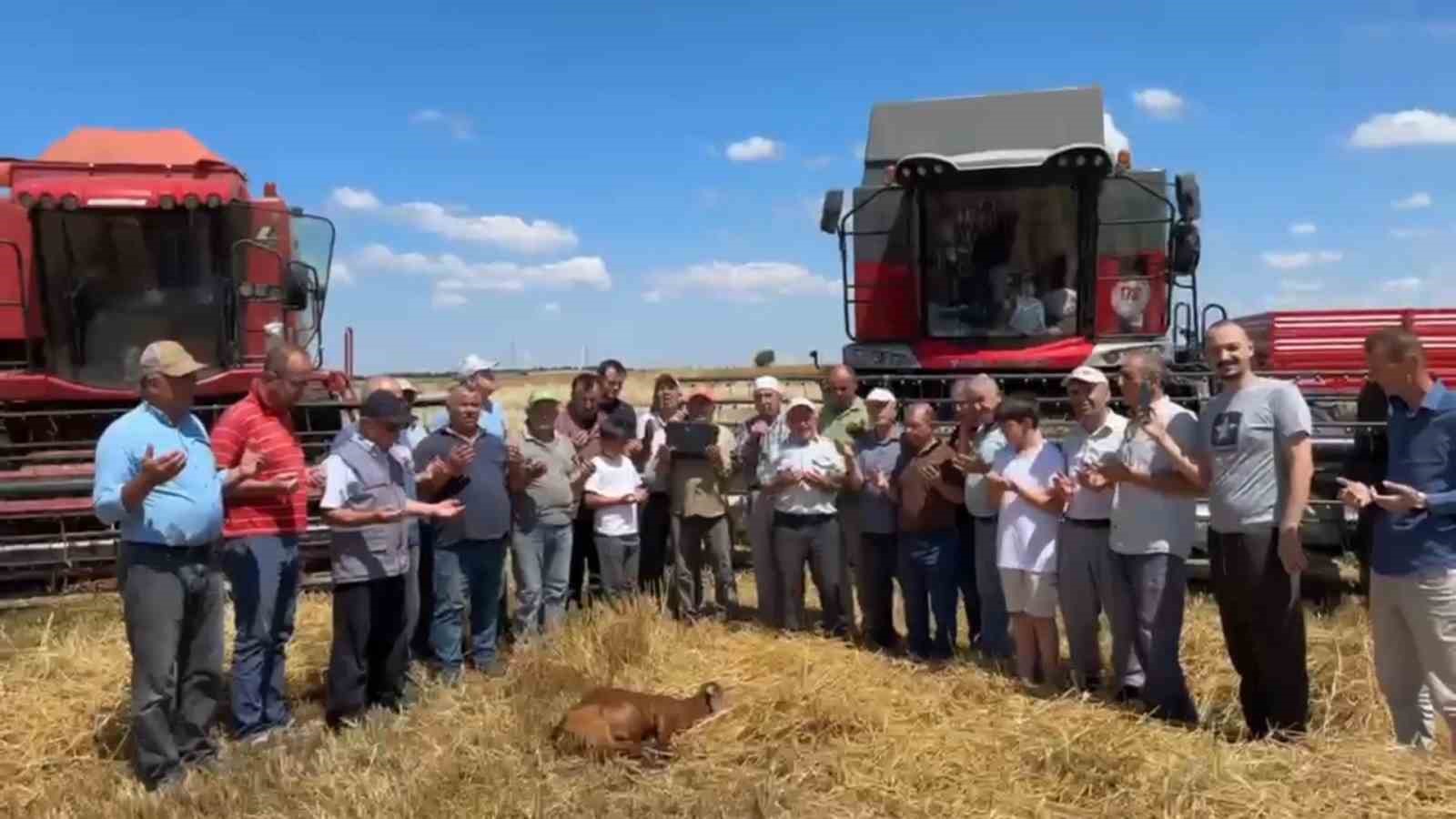 Edirne’de buğday hasadı dualarla başladı 4 edirnede bugday hasadi dualarla basladi 0 WvbwnzWj