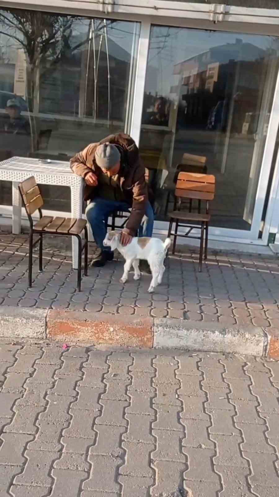 edirnede de keci ile alisveris keyfi 1 zvFKGiIq