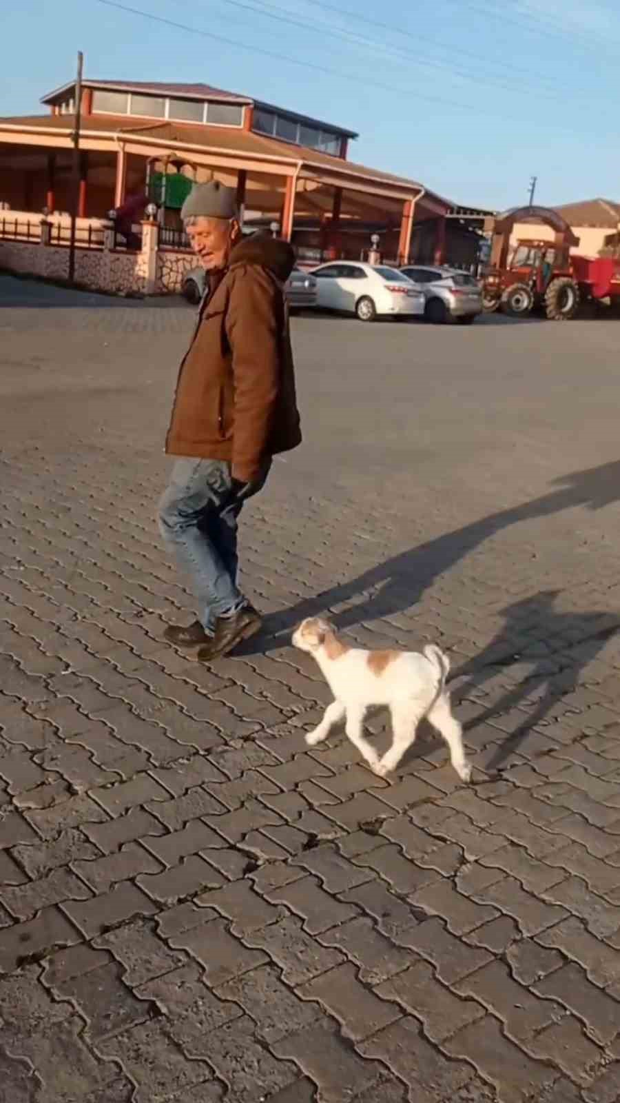 edirnede de keci ile alisveris keyfi 5